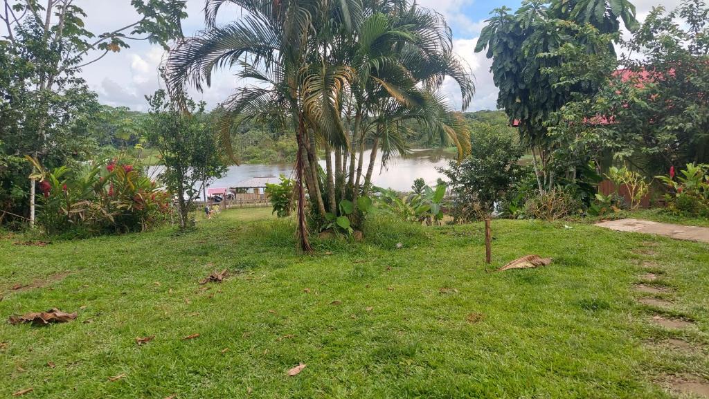 Indiana Other | lupuna jungle tours and expeditions