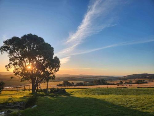 Bald Hills Villa | Lush Pastures