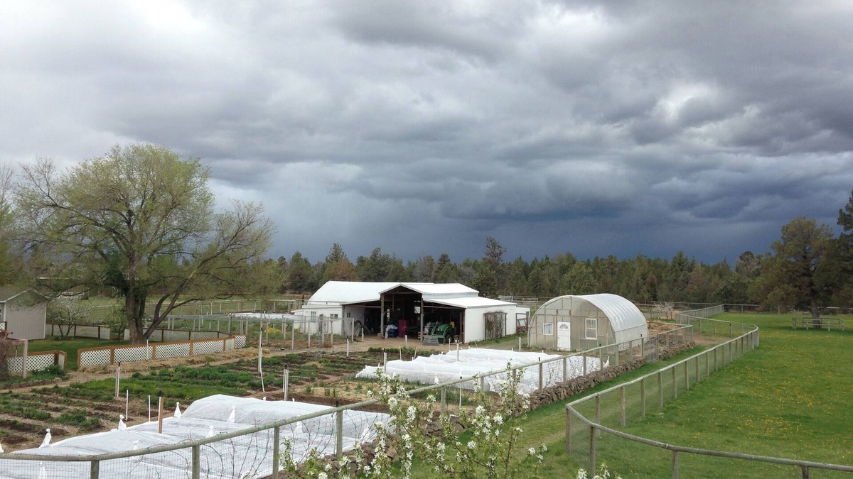Alfalfa Apartment | Luxe 2-BR Loft apt. on a Flower Farm in fabulous Bend with AC, WiFi, etc.!