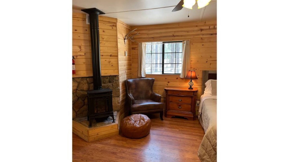 Alpine Apartment | Luxe cabin getaway in the tall pines of Alpine AZ