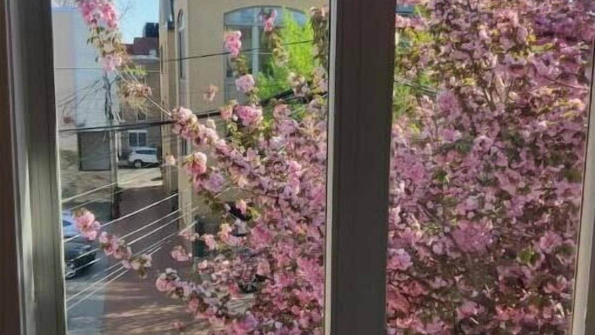 Dupont Circle House | Luxe, Metro & Free parking!