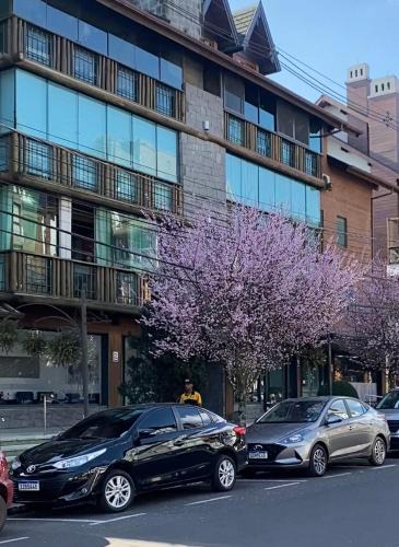 Gramado City Centre Apartment | LUXUOSO APT ALMERIS PECCIN no Centro de GRAMADO
