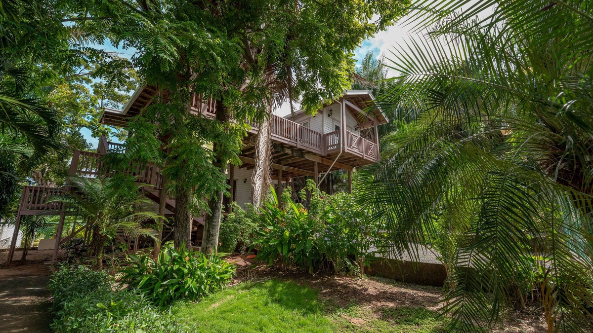 Gibson Bight House | Luxurious Tropical House near Beaches & Downtown