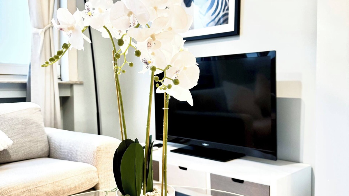 European Quarter Apartment | Luxurious 2 bedroom apartment in place flagelo