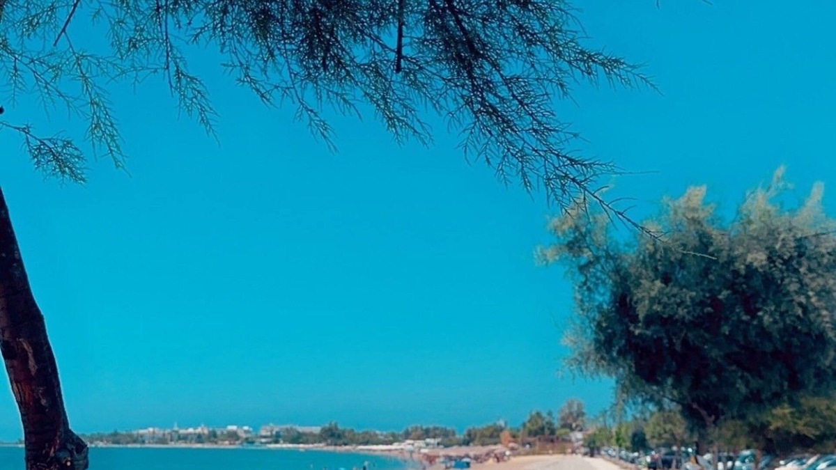 Konia Villa | Luxurious 4-bedroom Villa in Paphos with SeaViews, Pool, Fitness, Bar&Lounge!