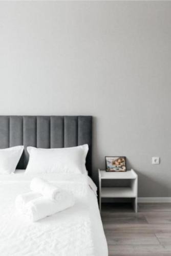 Almaty Apartment | Luxurious apartments in the center of Almaty city
