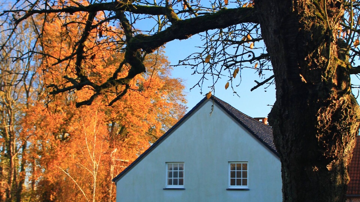 Pietrain House | Luxurious country house 4 bedr/8 p with large garden, jacuzzi and billiards
