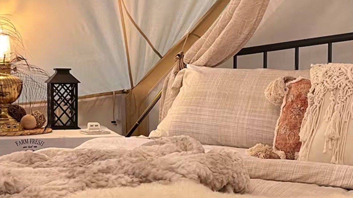 Mount Jackson RV Rental | Luxurious Fall Camping near Hiking Trails Wine Tours Mountain Views