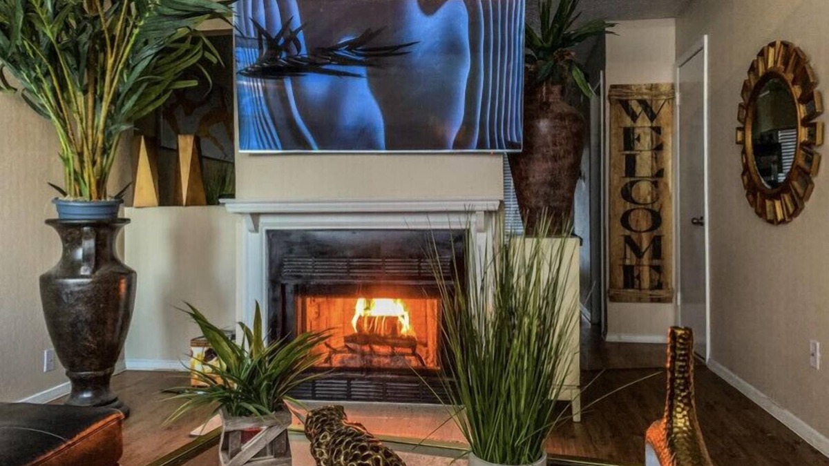 South Arlington Condo | Luxurious High End Split Level Loft