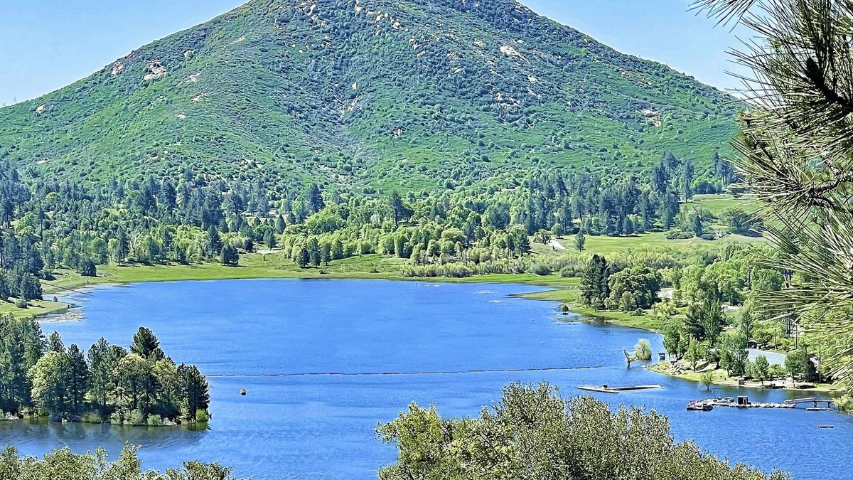 Julian Cabin | Luxurious TREE HOUSE: SPA, LAKE & MOUNTAIN VIEW,1-Acre, Observatory