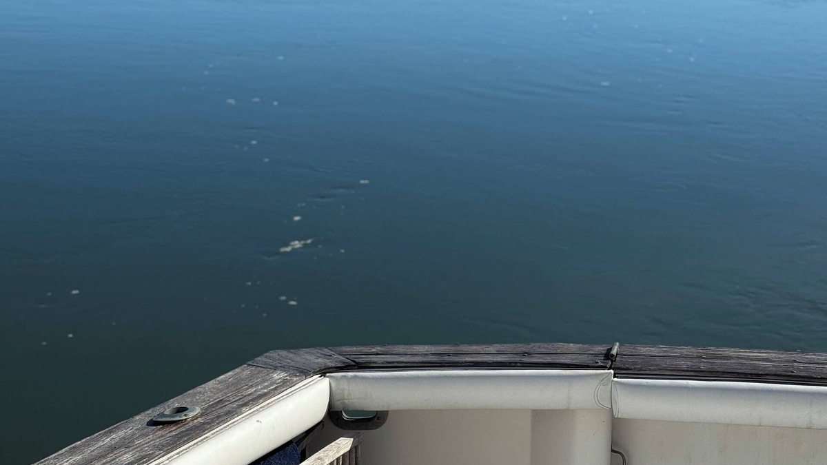 Beaufort Boat Rental | Luxurious yacht with 2 bedrooms and AC, WiFi in beautiful Beaufort