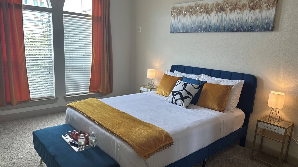Astrodome Apartment | Luxury 1 bedroom in Houston