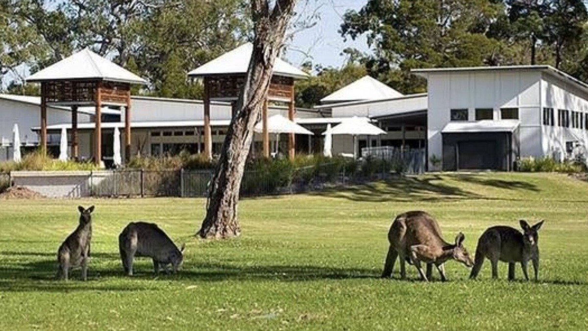 Noosa North Shore House | Luxury 2 bedroom house-family getaway in bushland resort: beach,pool,spa,tennis.
