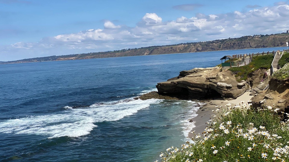 University City Condo | Luxury 2 bedroom condo in LaJolla renovated & fully furnished