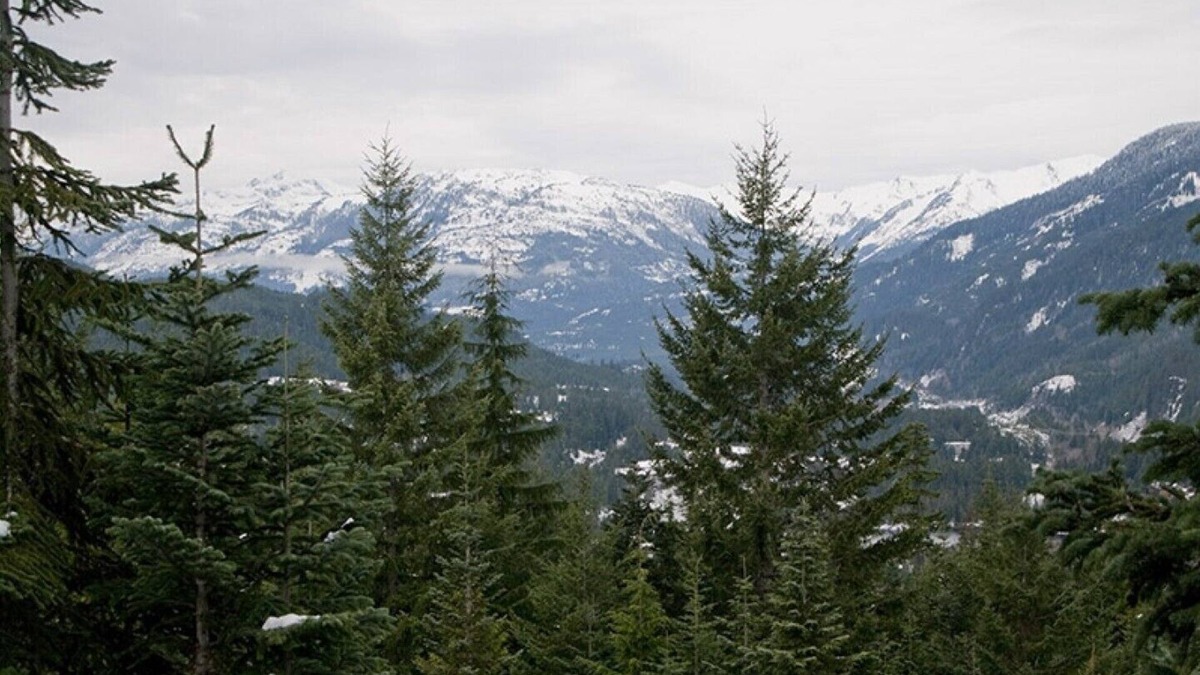 Nordic Estates House | Luxury 4 Bedroom TRUE Ski in/ski out Townhome in Exclusive Taluswood