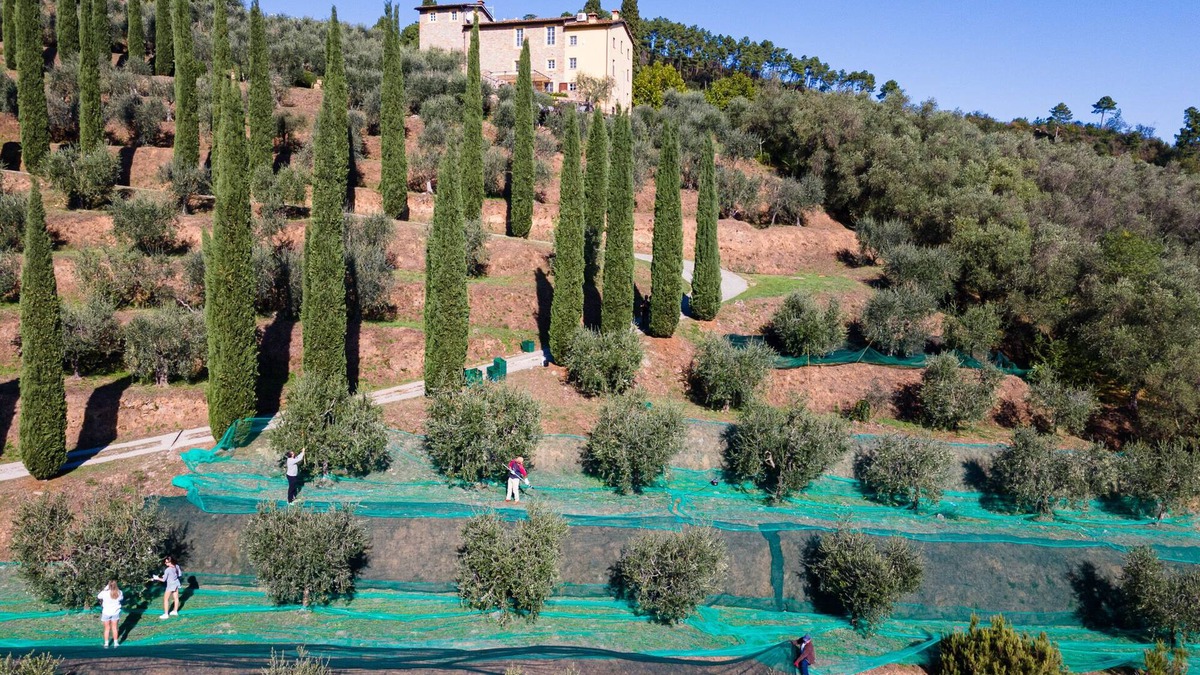 Cascine-La Croce Villa | Luxury 6-bed Tuscan villa near Lucca and Florence w/saltwater pool