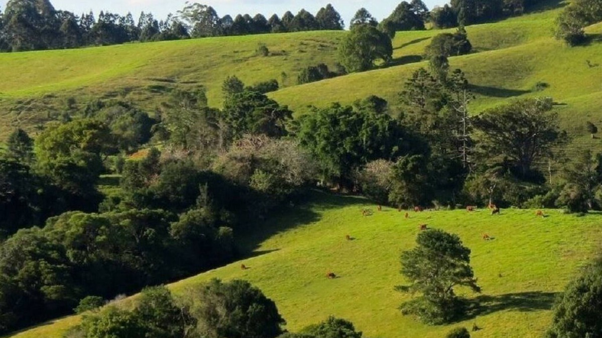 Montville Bed & Breakfast | Luxury Accommodation - Harris