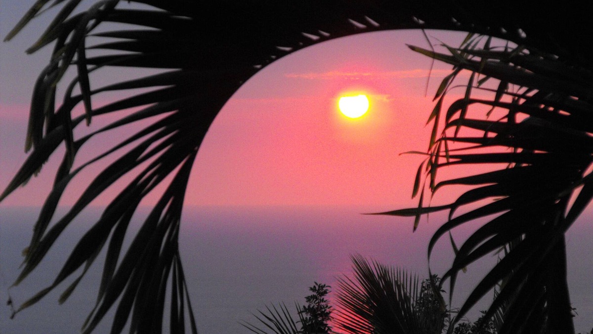 Honaunau-Napoopoo House | Luxury And Aloha Await You! Relaxation, Great Snorkeling, Large Unit