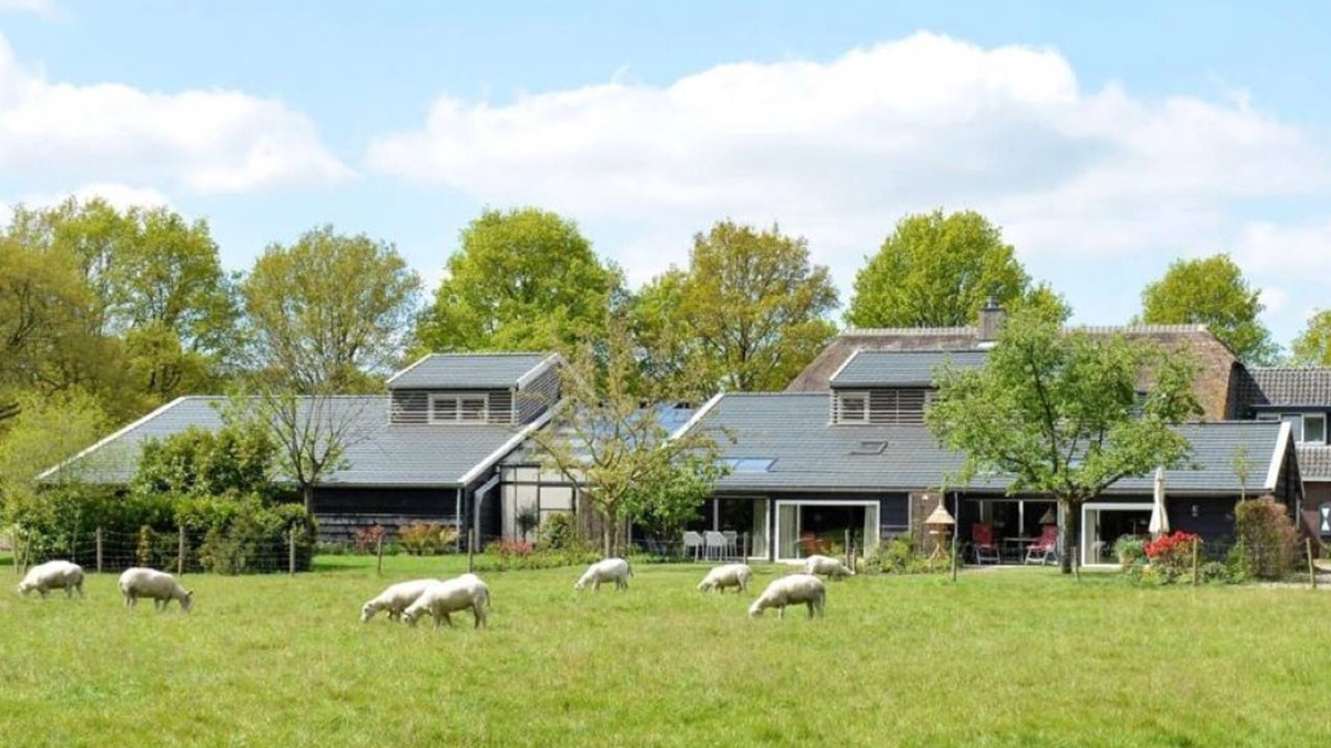 Diever Apartment | Luxury apartment in Diever Drenthe near three nature parks New at VRBO