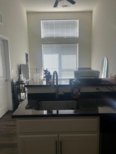Storrs Apartment | Luxury Apartment UConn