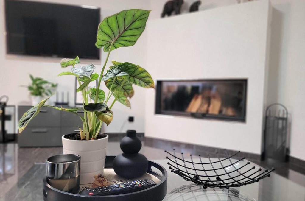Orschweier Apartment | Luxury Appartement Marz, Europa Park- Rulantica