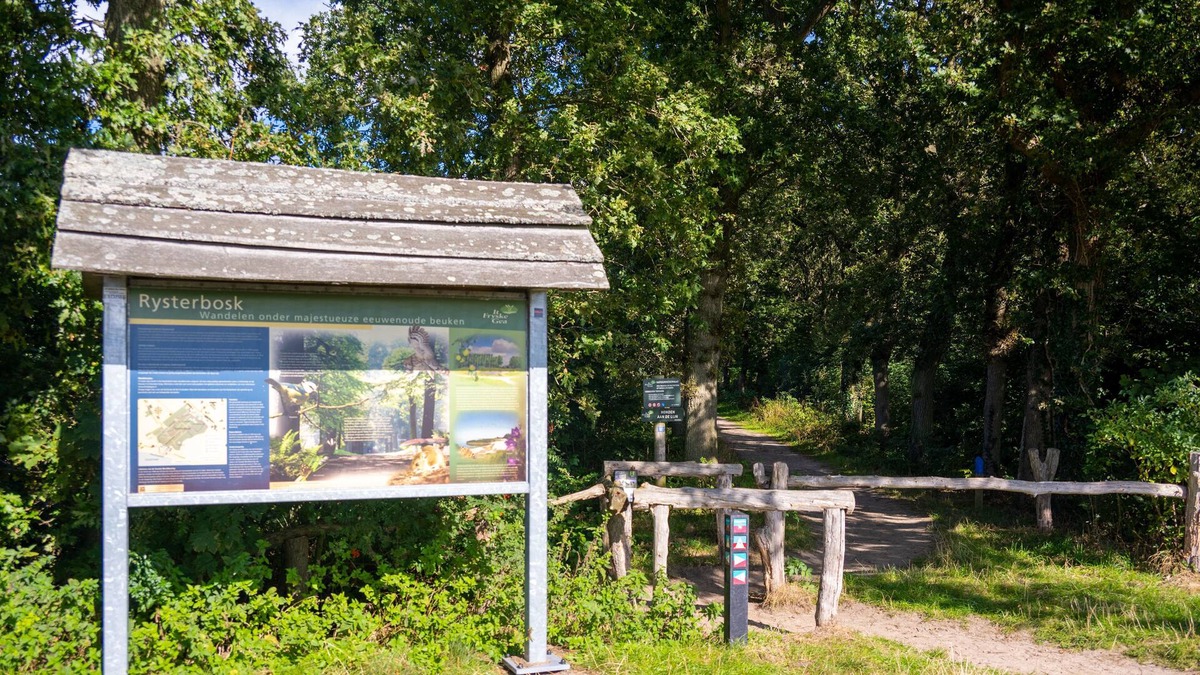 Rijs Villa | Luxury box villa "Bij Klaas" near forest and lake with beach!