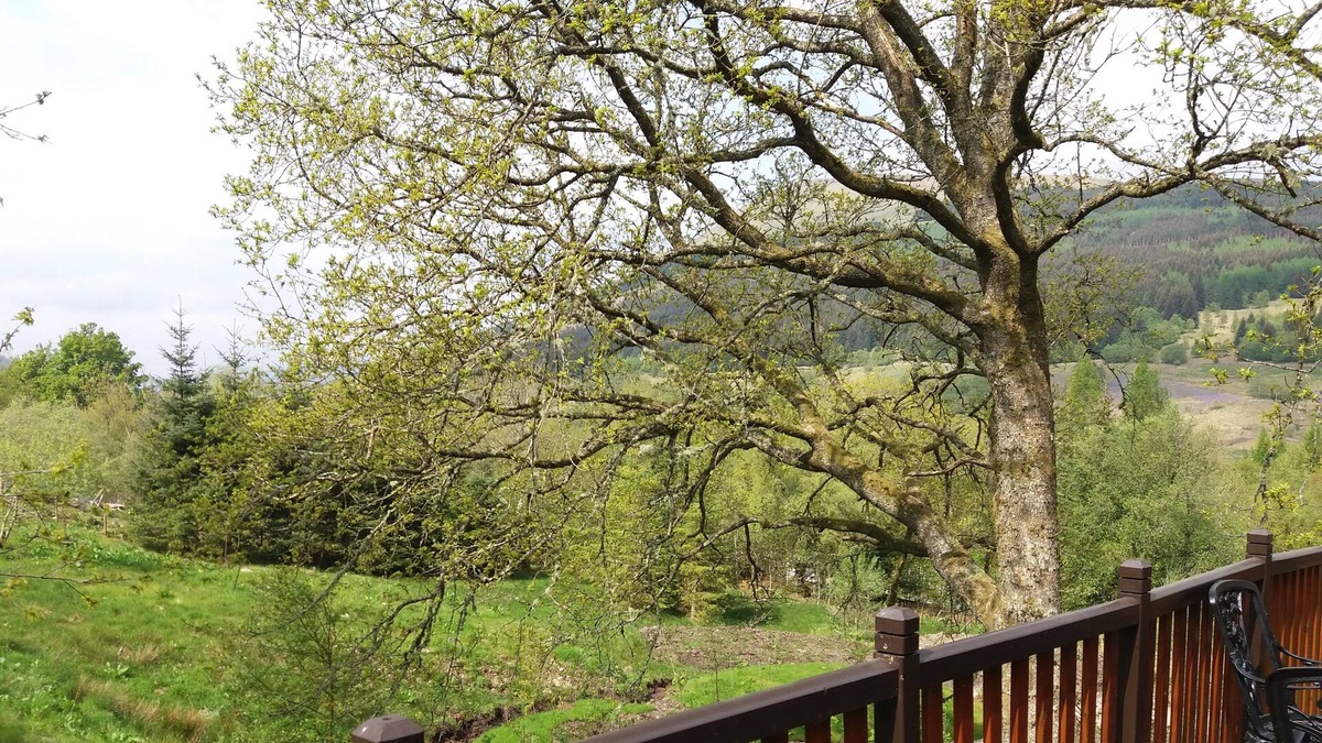 Lochearnhead Cabin | Luxury Cabin with Stunning Views