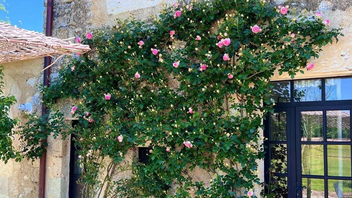 Castet-Arrouy House | Luxury escape - Near Lectoure