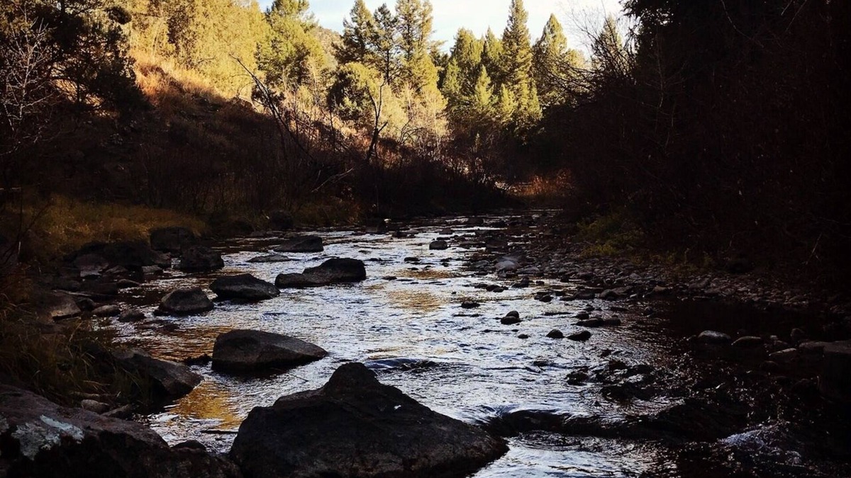 Ririe House | Luxury Family Cabin - Swan Valley ID