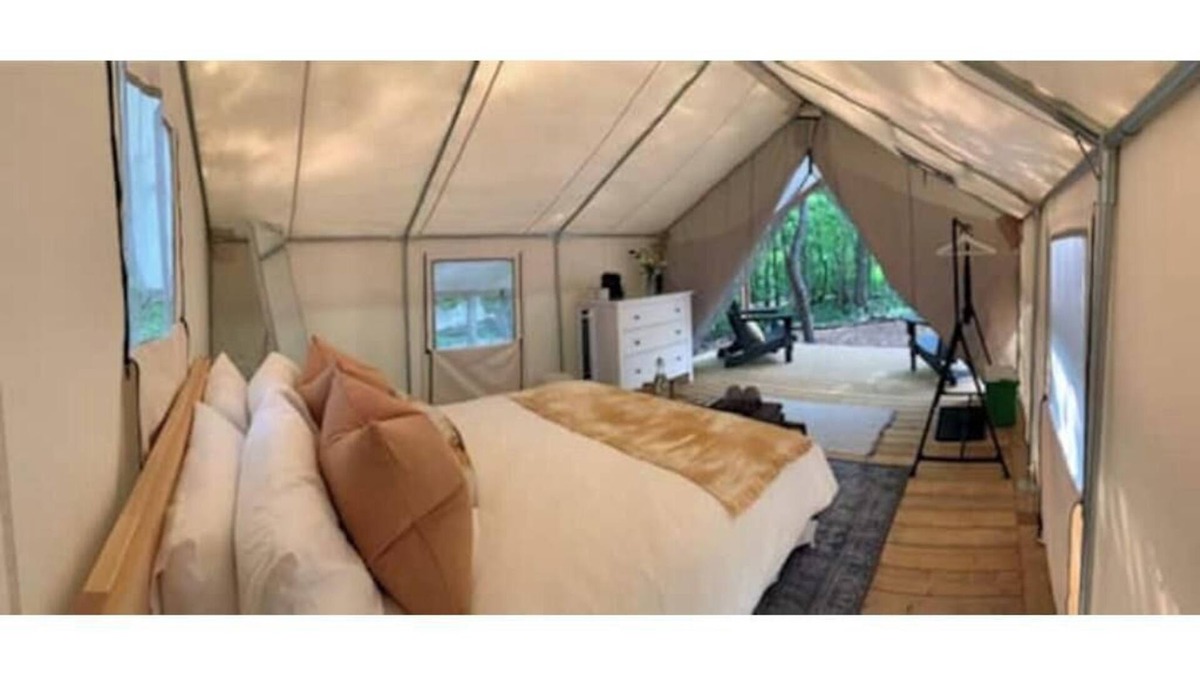 Elora Cabin | Luxury Glamping on Elora Sunflower Farm -Sunflower