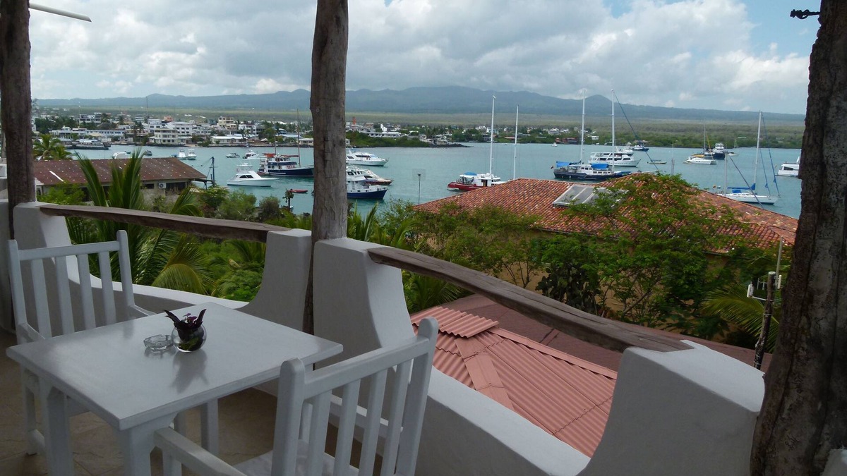 Bahia de la Academia Resort | Luxury Jacuzzi Suite On The Bay w/City, Harbor & Ocean Views (READ AD FIRST)