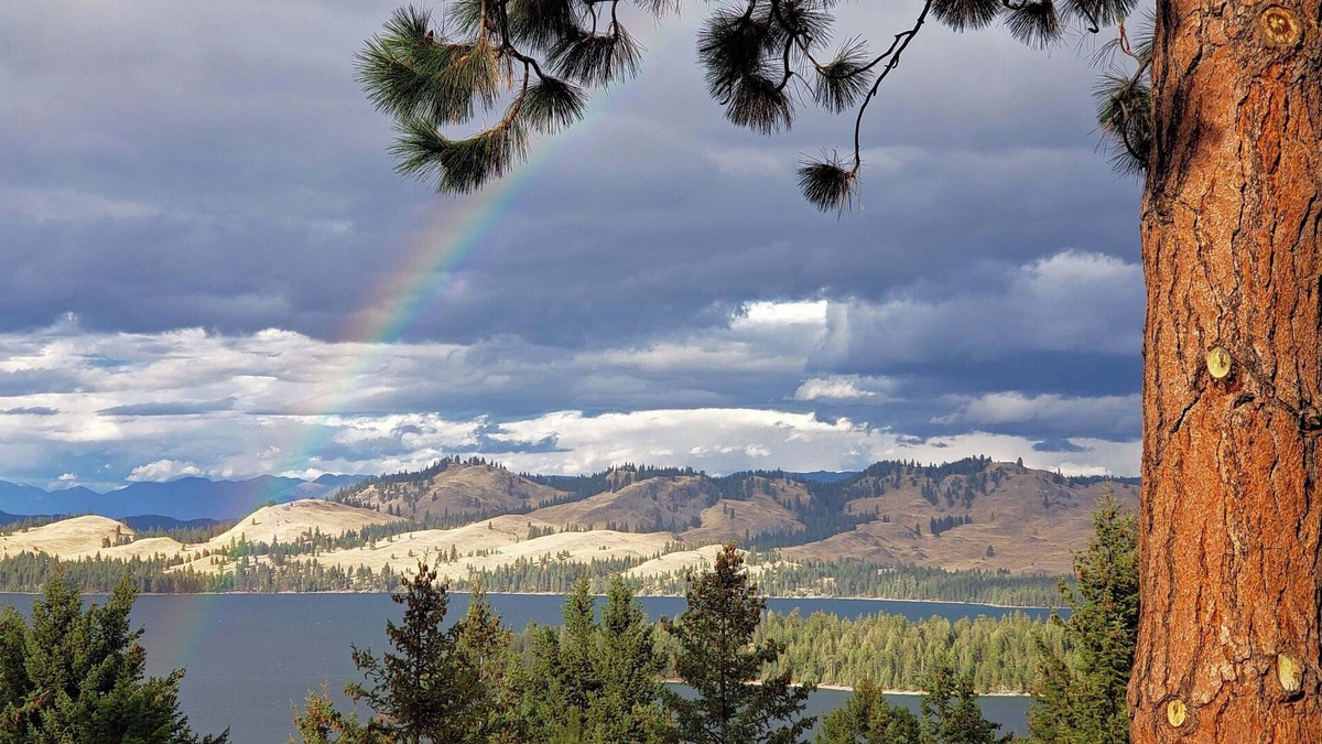 Big Arm Cabin | Luxury Lodge: Flathead Lake & Wild Horse Island
