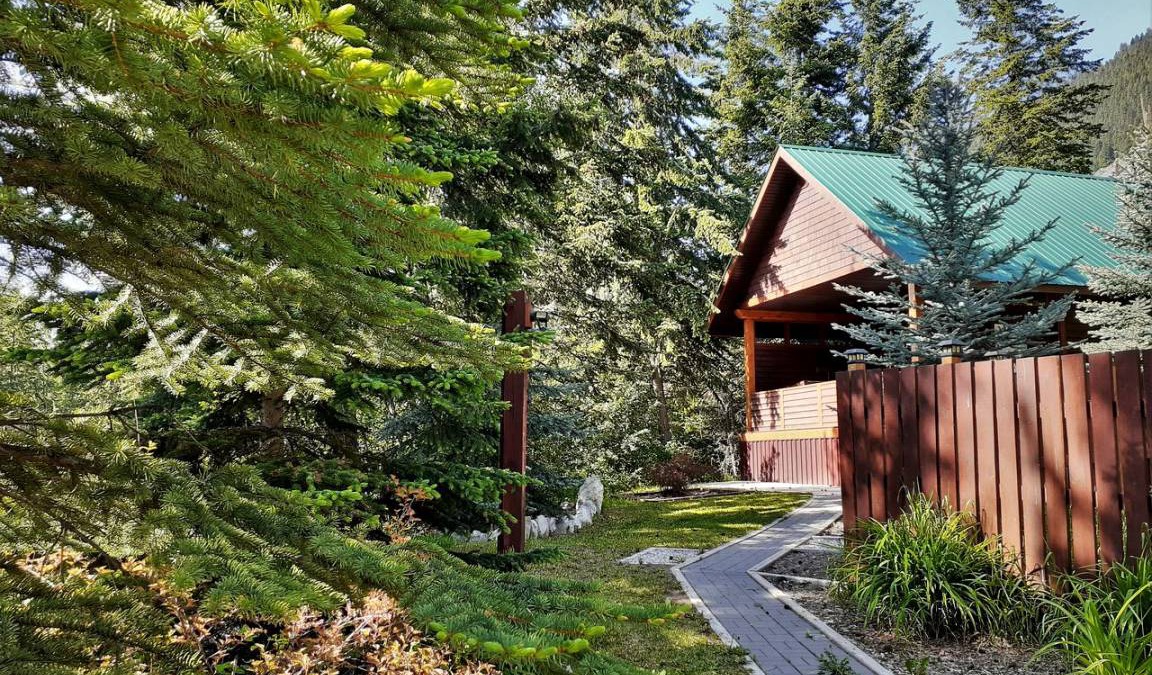 Golden House | Luxury Mountain Cabin with a Hot Tub near Golden, British Columbia
