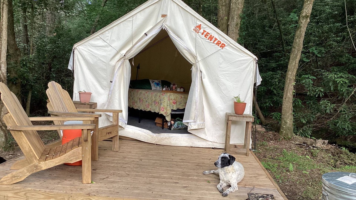 Turtletown RV Rental | Luxury Off Grid Camping at its finest