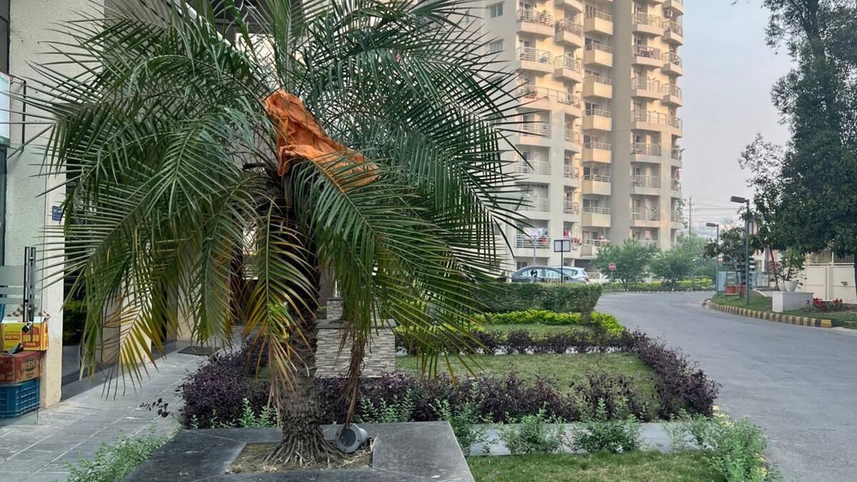 Hattiban Apartment | Luxury Penthouse in Cityscape Apartments Lalitpur, Kathmandu