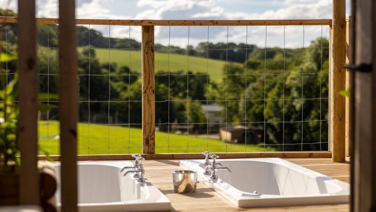 Broadwoodkelly House | Luxury Safari Lodge surrounded by deer! 'Fallow'