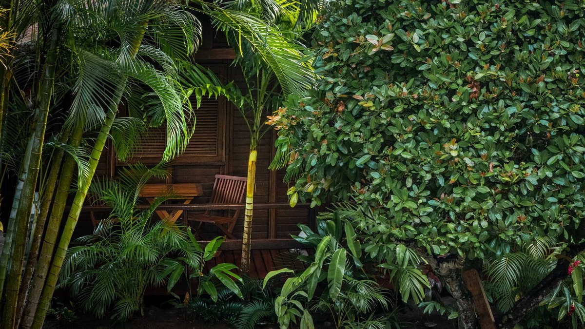 El Limon Cottage | Luxury Staffed 3-bedroom cottage with AC 2 min away from Playa Estillero
