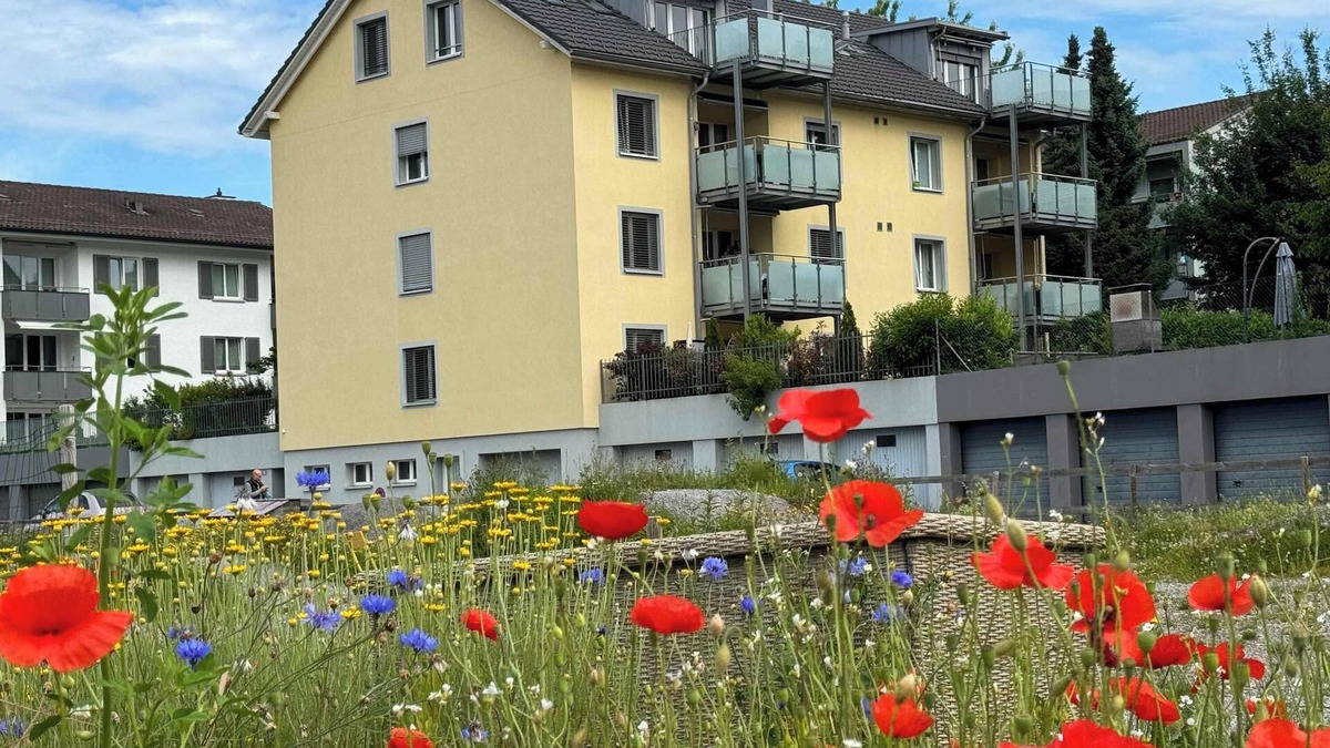 Wallisellen Apartment | Luxury Sunrise Terrace, 4.5 Rooms (FR-22)