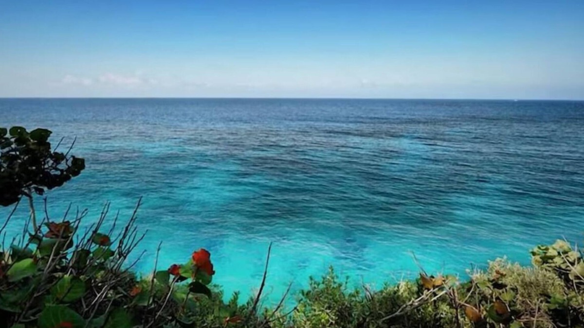 Port Antonio Villa | Luxury Two Bedroom Sea View Villa, Frenchman's Cove Resort