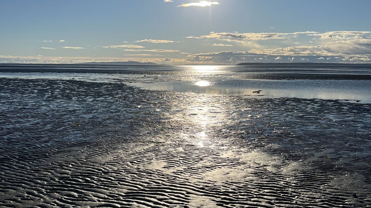 Guildford House | Luxury Vacation or family visits close to Vancouver, mountains, lakes and ocean