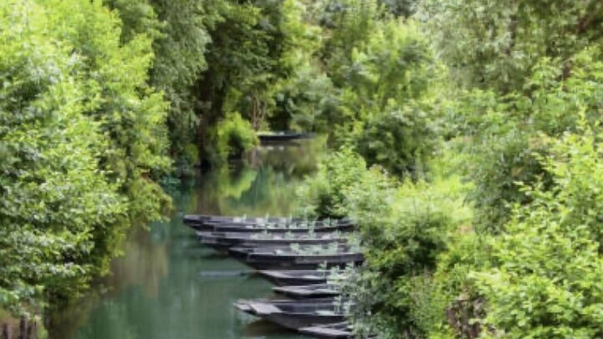 Sansais House | Luxury vacation rental in the heart of the Marais Poitevin - 2 bedrooms - 4 people