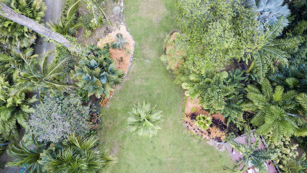 Punta Uva Villa | Luxury Villa Macaw Pool House with Ocean Views