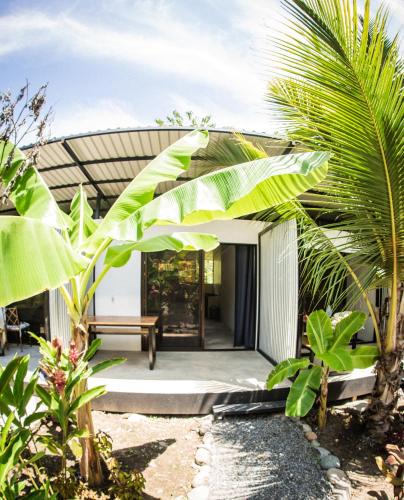 Cabuya Apartment | Luz de Estrella Studios