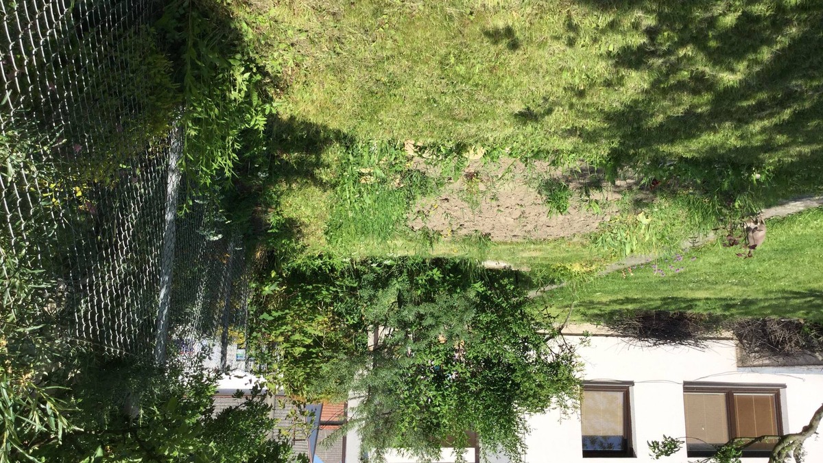 Vysoke Myto Apartment | Lydiavi Apartments