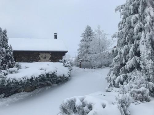 Saint-Pierre-dels-Forcats House | Lyshytta