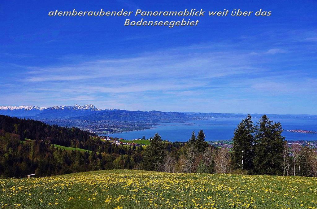 Eichenberg Apartment | Mühlenhof