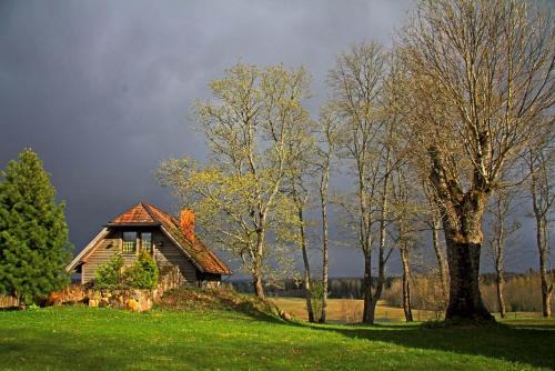Jaunzemi House | Mājiņa ar pirti ,lauku apvidū.
