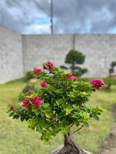 Phan Thiet Apartment | Mộc home garden