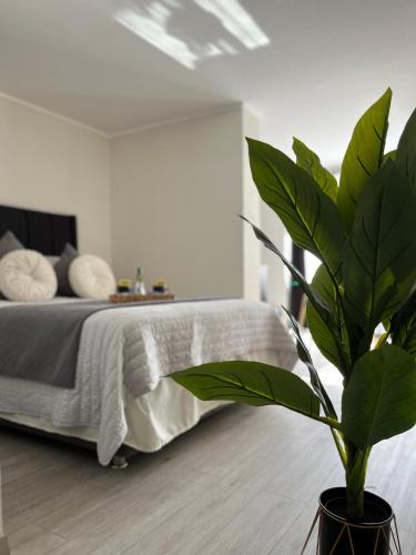 Downtown Santiago Apartment | M&C Departamento Republica 701