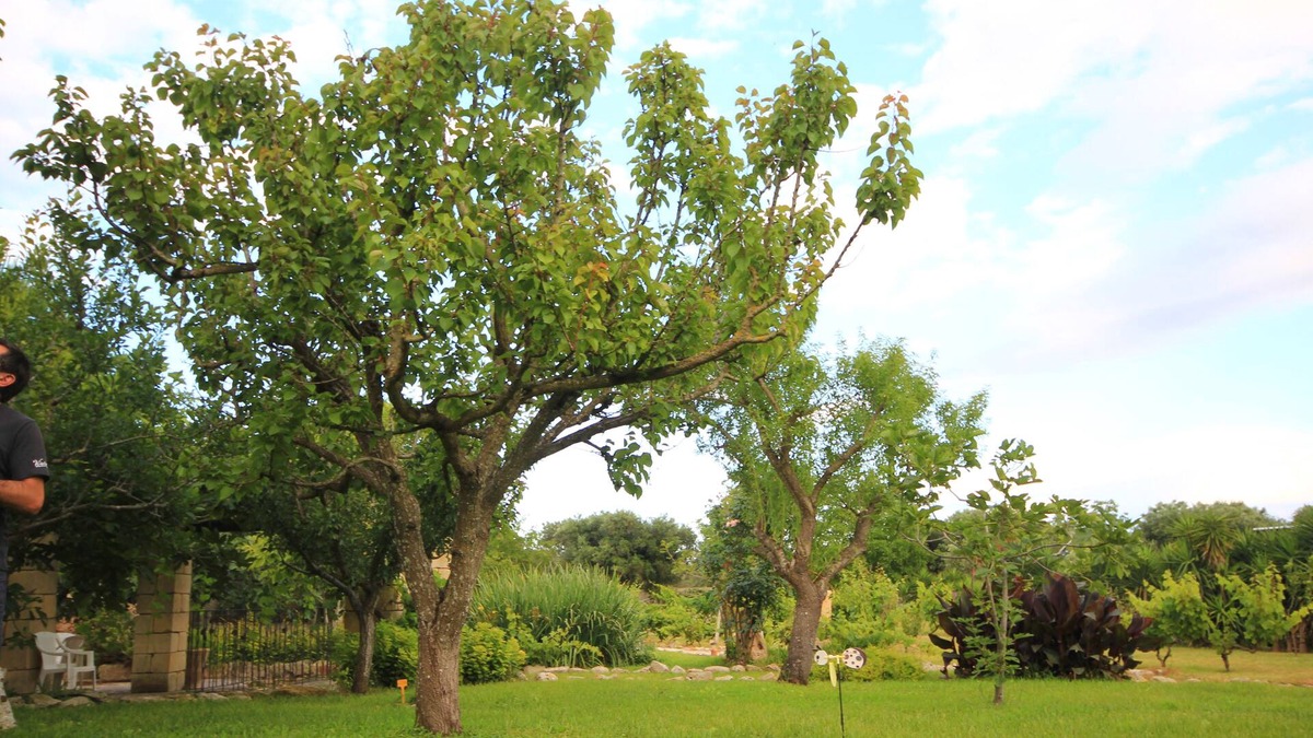 Lizzanello Apartment | M2 Don Vito Masseria old building recently renovated